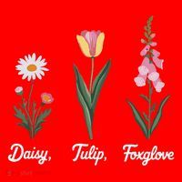 Foxglove Daisy Tulip Floral Floral Plant Santa Hat thumb 1