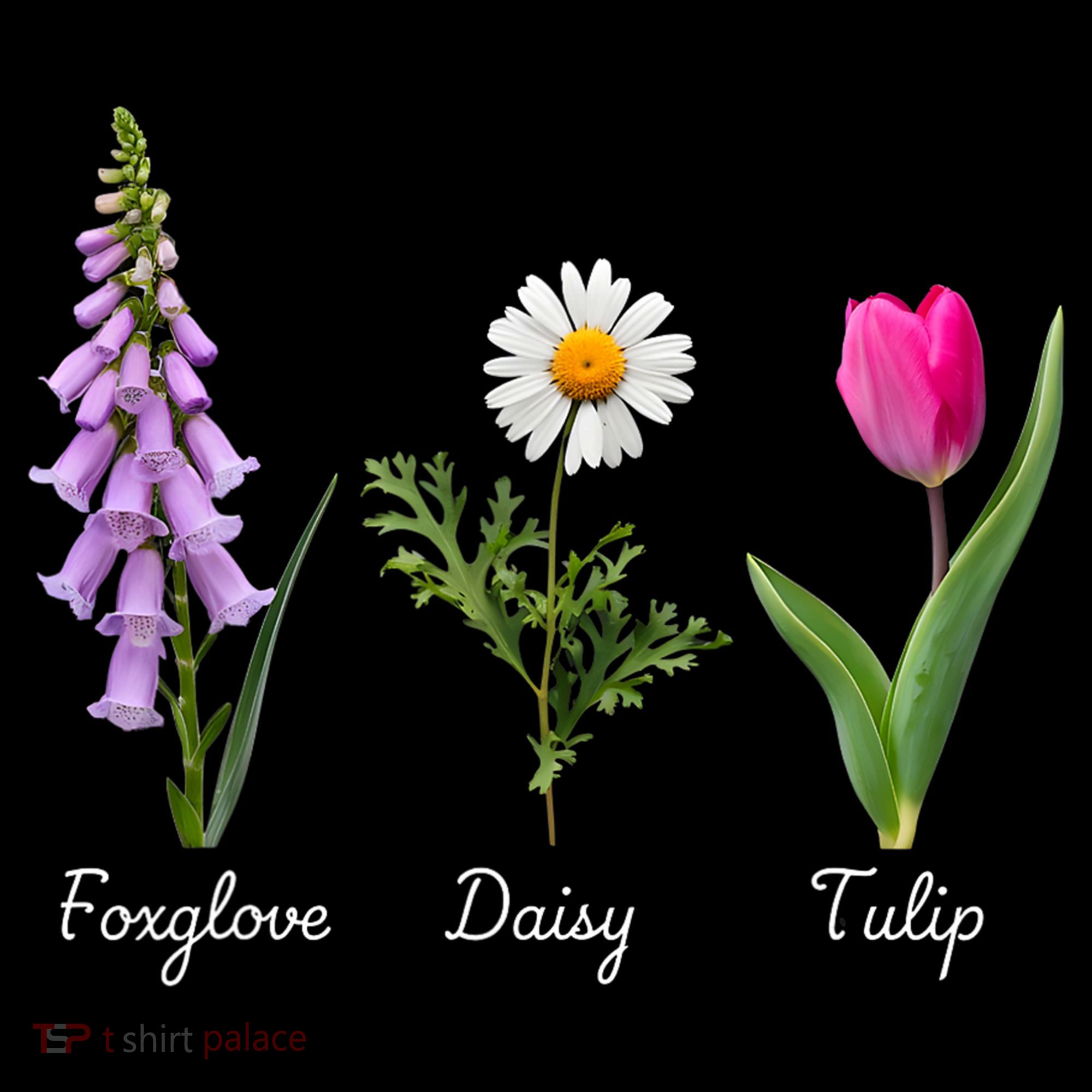Foxglove Daisy Tulip Floral Women's Hoodie