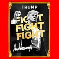 Fight Donald Trump Meme Coin Crypto President Santa Hat thumb 1