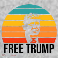 Free Donald Trump From Prison Toddler T-Shirt thumb 2