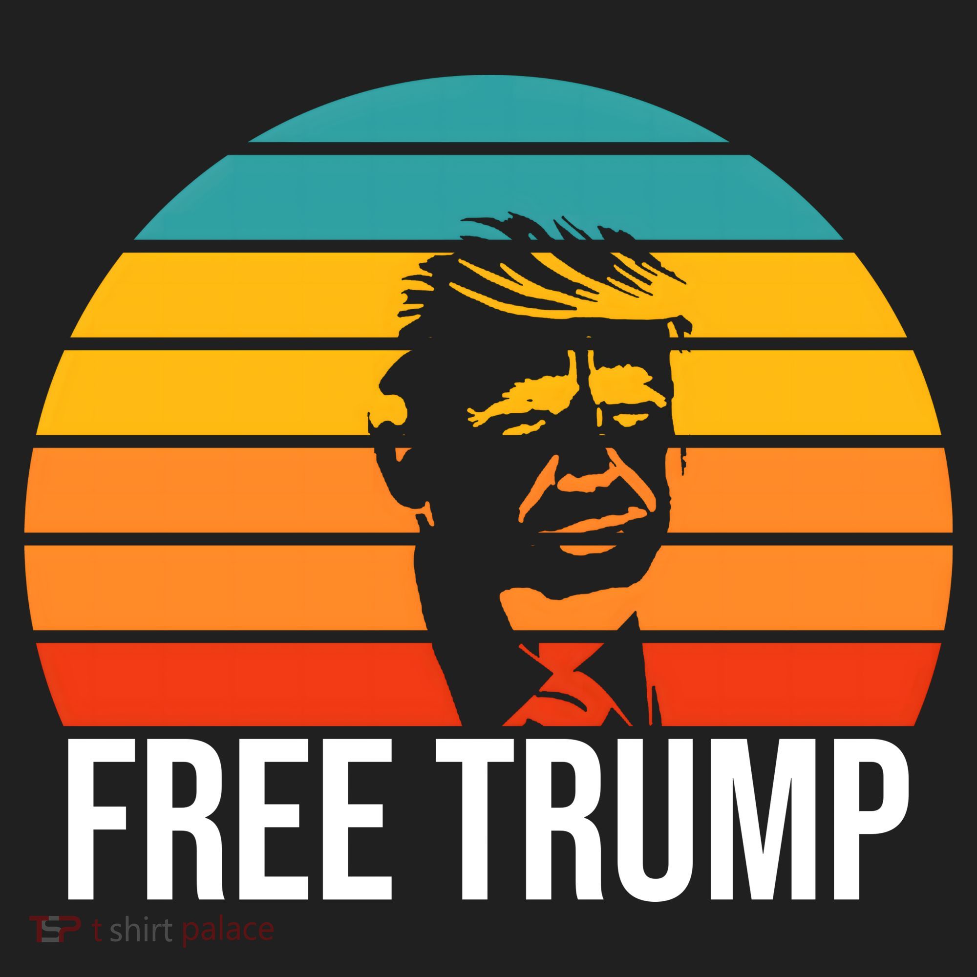 Free Donald Trump From Prison Hat