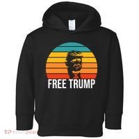 Free Donald Trump From Prison Toddler Hoodie thumb 0