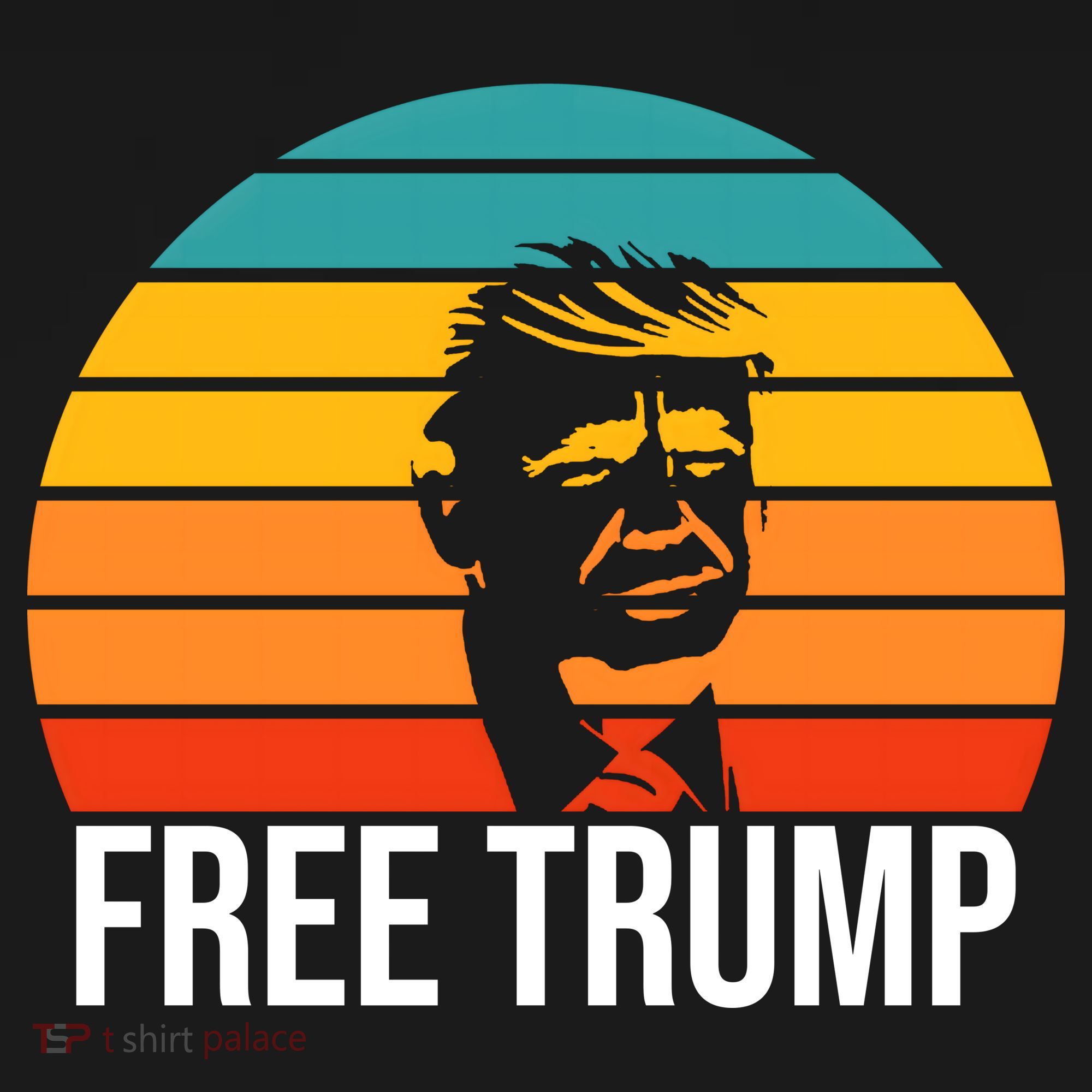 Free Donald Trump From Prison Visor