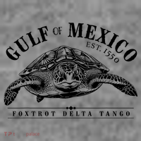 Foxtrot Delta Tango Turtle Gulf Of Mexico Protest Toddler Hoodie thumb 2