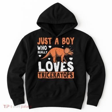 Funny Dinosaur Triceratops for boy Hoodie