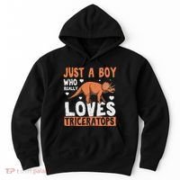 Funny Dinosaur Triceratops for boy Hoodie thumb 0