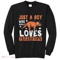 Funny Dinosaur Triceratops for boy Sweatshirt thumb 0