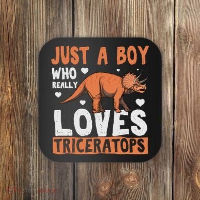 Funny Dinosaur Triceratops for boy Coaster