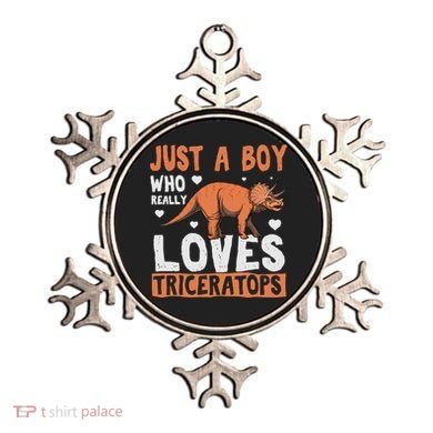 Funny Dinosaur Triceratops for boy Ornament