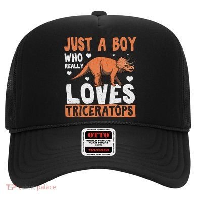 Funny Dinosaur Triceratops for boy Hat