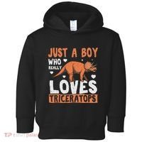 Funny Dinosaur Triceratops for boy Toddler Hoodie thumb 0