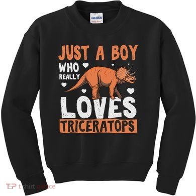 Funny Dinosaur Triceratops for boy Kids Sweatshirt