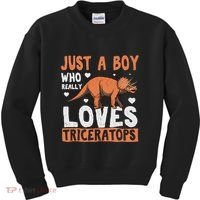 Funny Dinosaur Triceratops for boy Kids Sweatshirt thumb 0