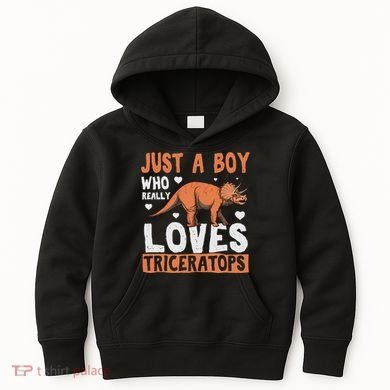 Funny Dinosaur Triceratops for boy Kids Hoodie