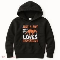 Funny Dinosaur Triceratops for boy Kids Hoodie thumb 0