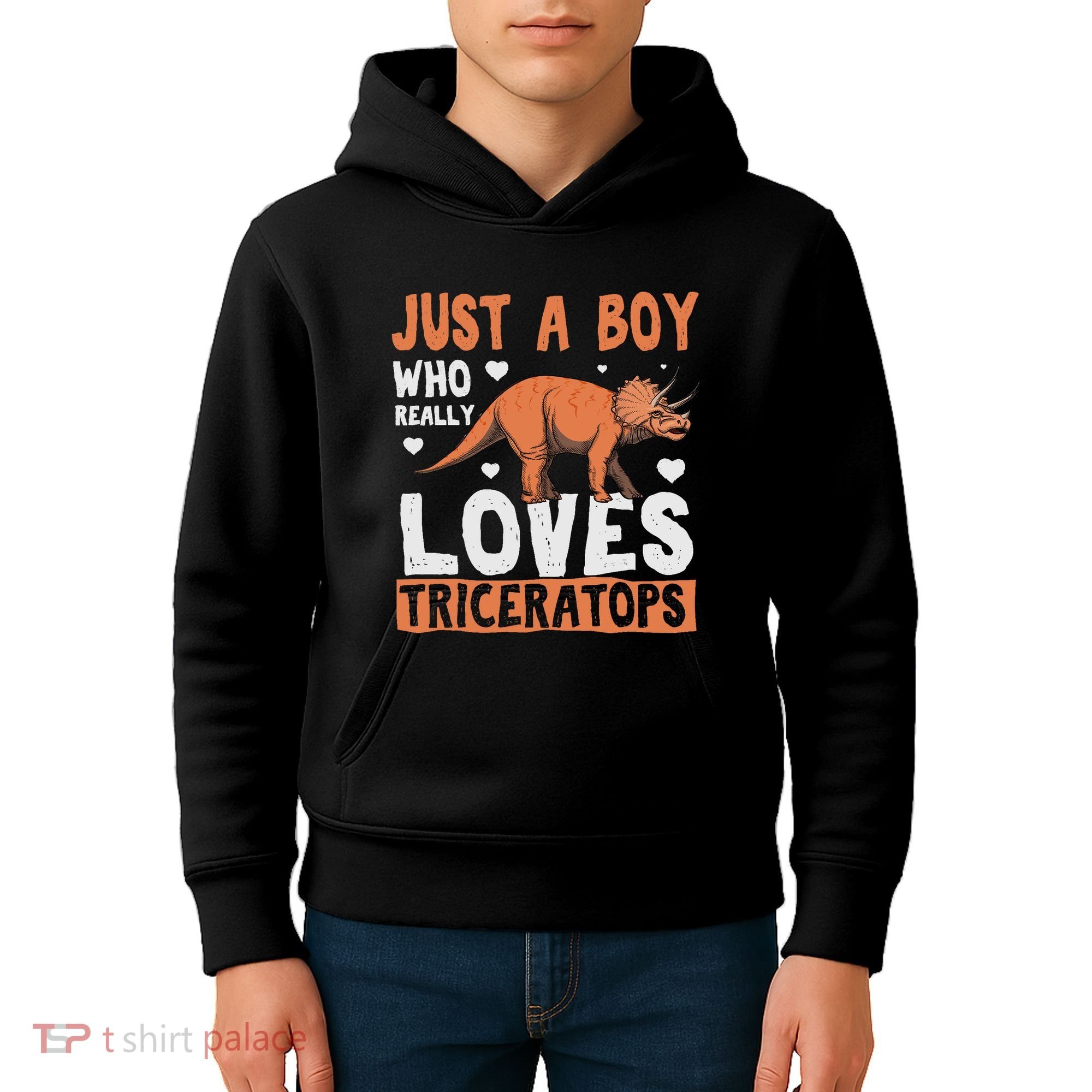 Funny Dinosaur Triceratops for boy Kids Hoodie