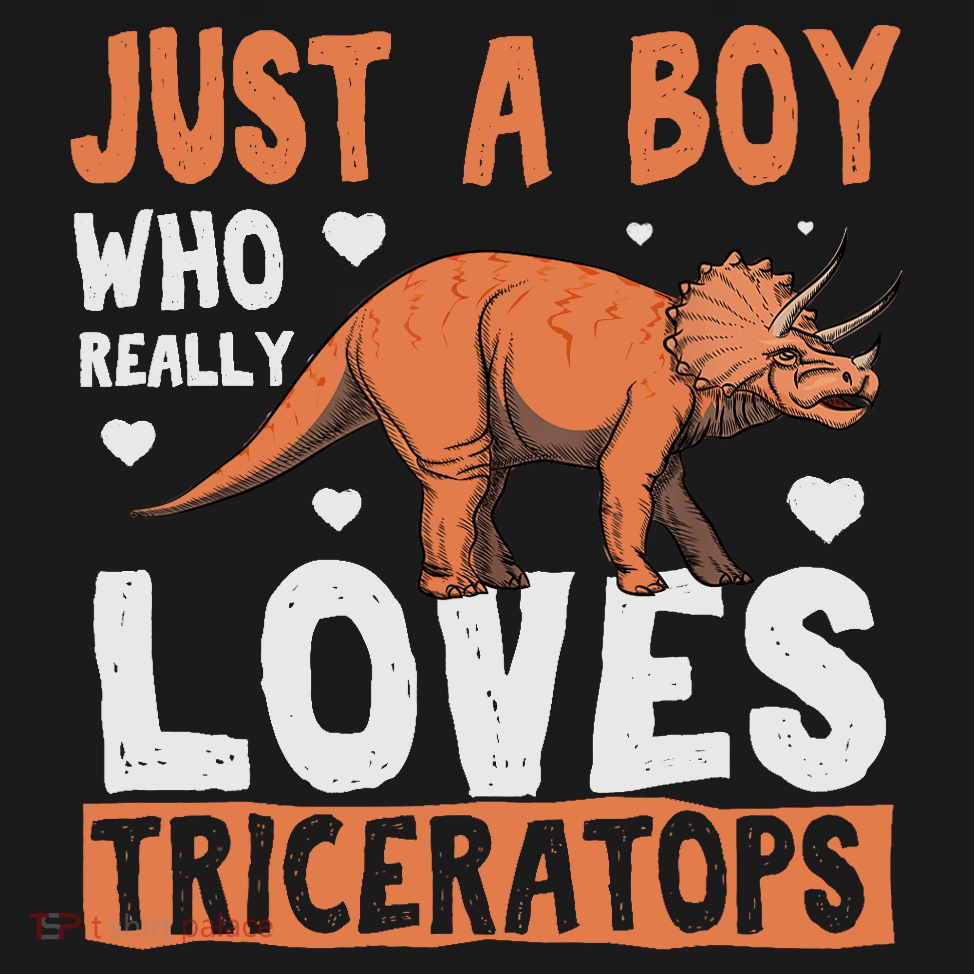 Funny Dinosaur Triceratops for boy Kids Hoodie