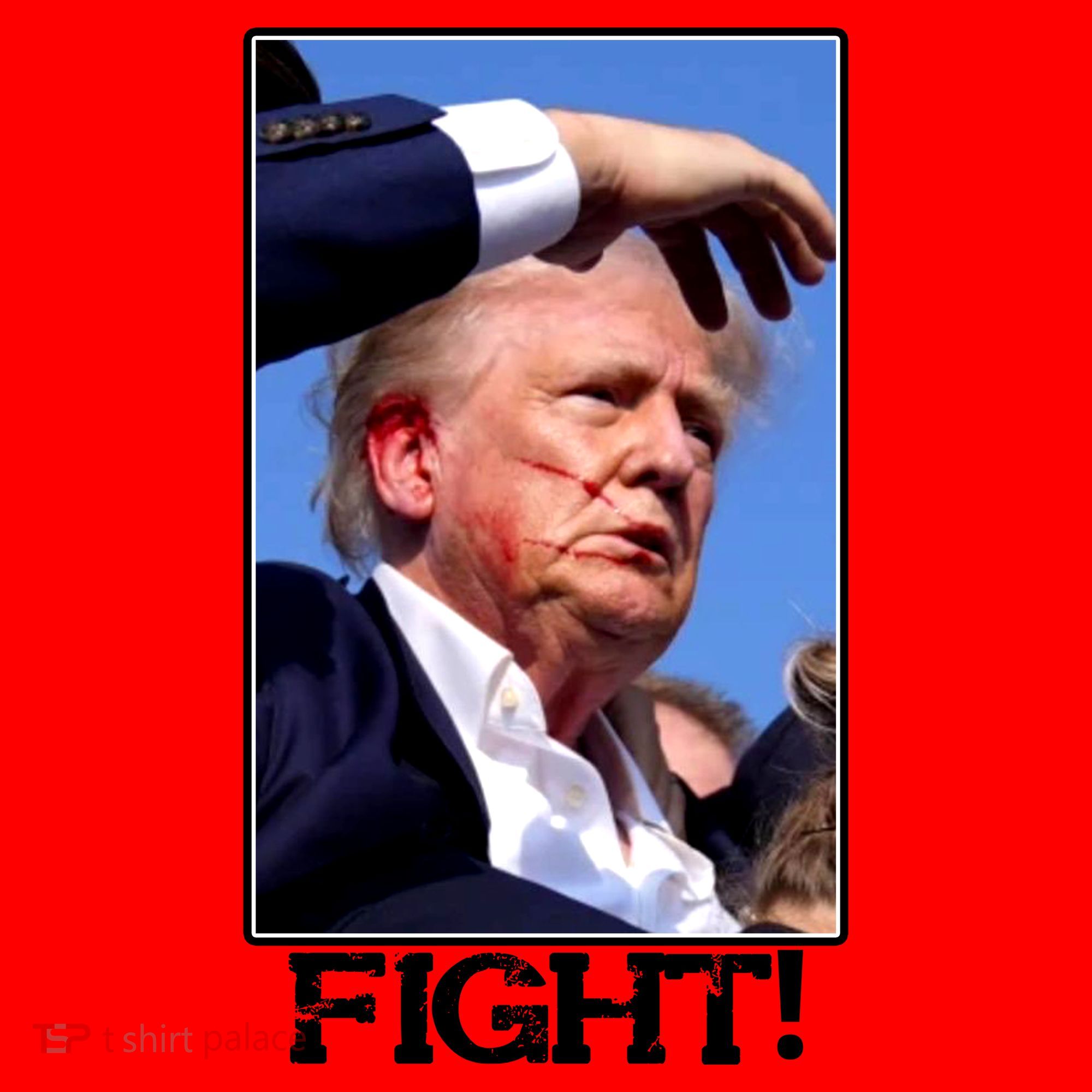 Fight Donald Trump Rally Gun Shot Fired Shooting Pennsylvania Santa Hat