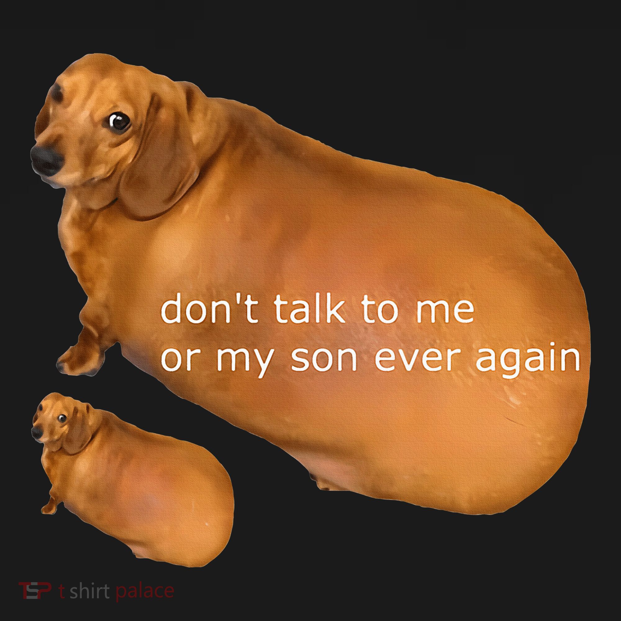 Funny DonT Talk To Me Or My Son Ever Again Geek Dog Meme Women's Hoodie