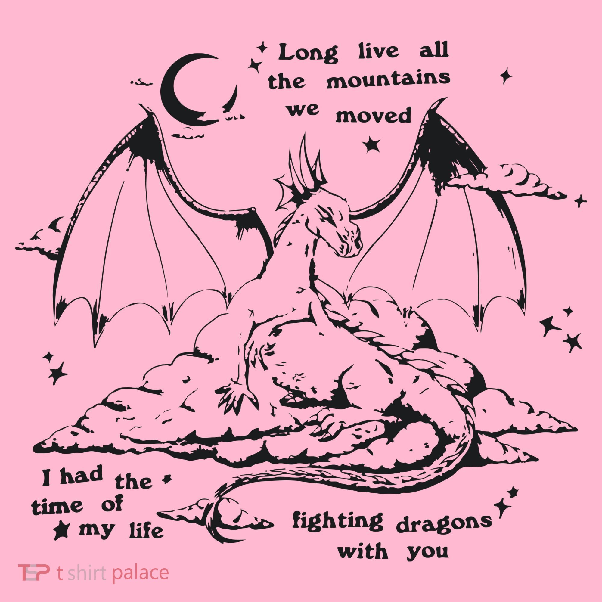 Fighting Dragons With You Speak Now TV Coaster