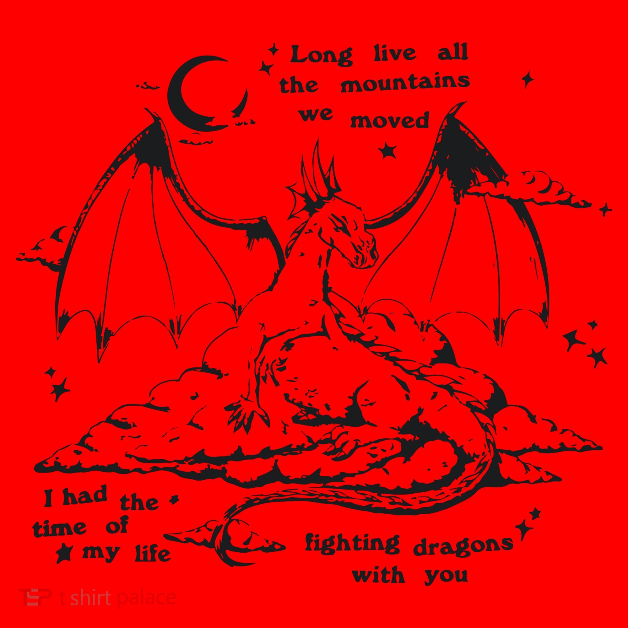 Fighting Dragons With You Speak Now TV Santa Hat