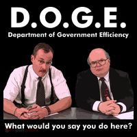 Funny D.O.G.E. What Would You Say You Do Here? Women's Hoodie thumb 2