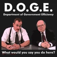 Funny D.O.G.E. What Would You Say You Do Here? Toddler T-Shirt thumb 4