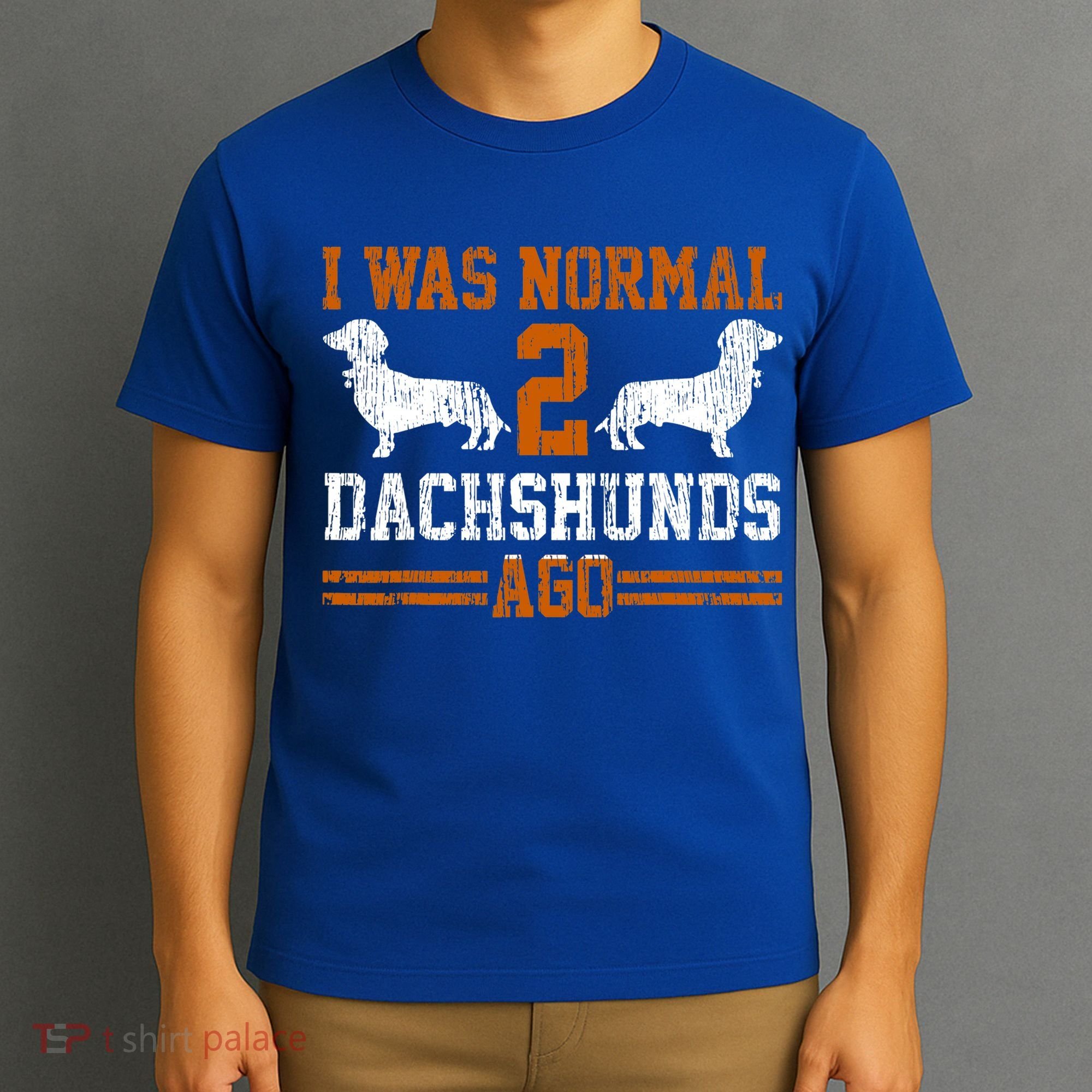 Funny Dachshund Wiener Gift I Was Normal 2 Two Dog Vintage Gift T-Shirt