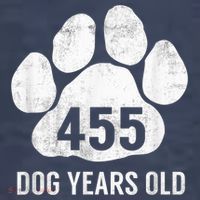 Funny Dog Years Old Vintage 65th Birthday Gag Gift T-Shirt thumb 5