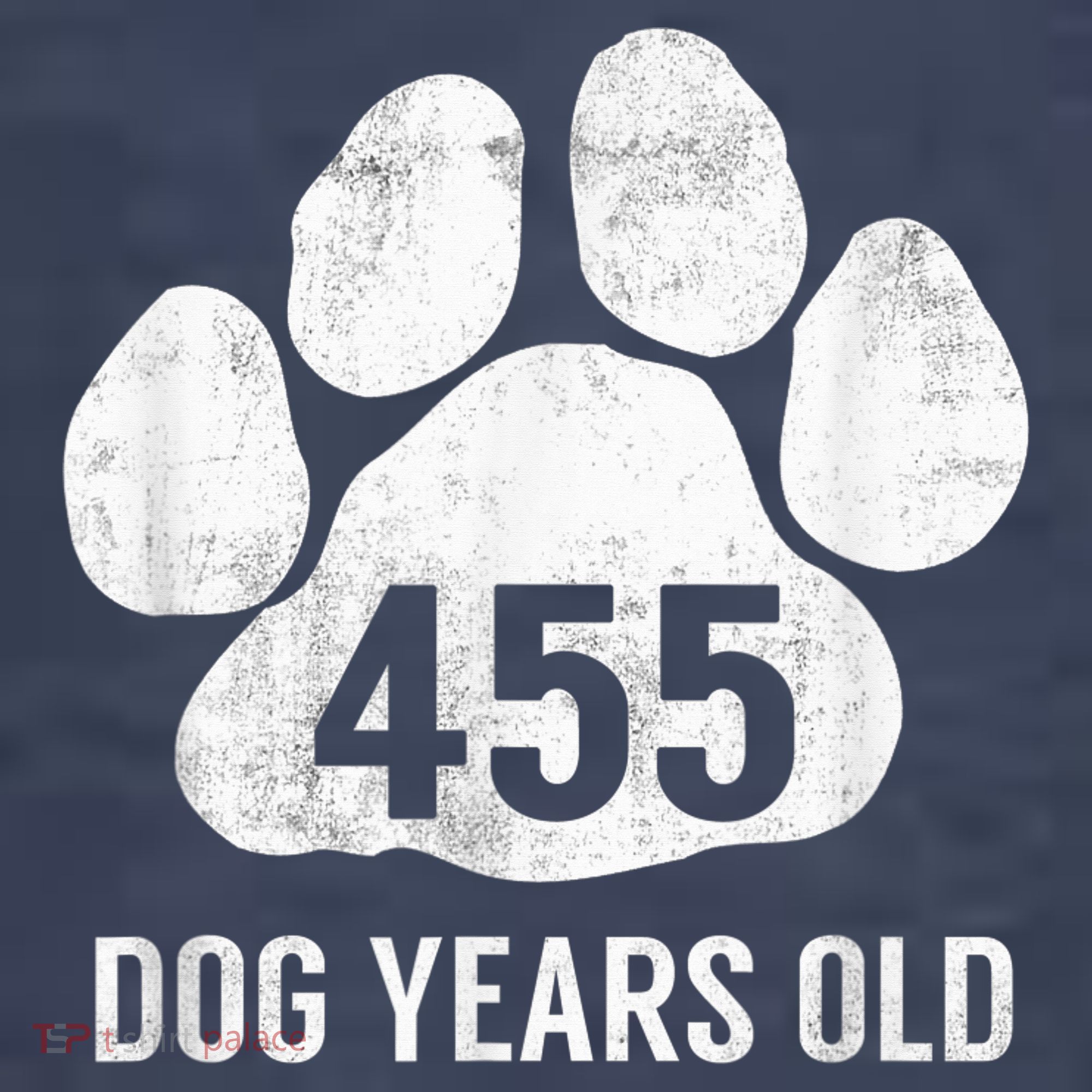 Funny Dog Years Old Vintage 65th Birthday Gag Gift T-Shirt