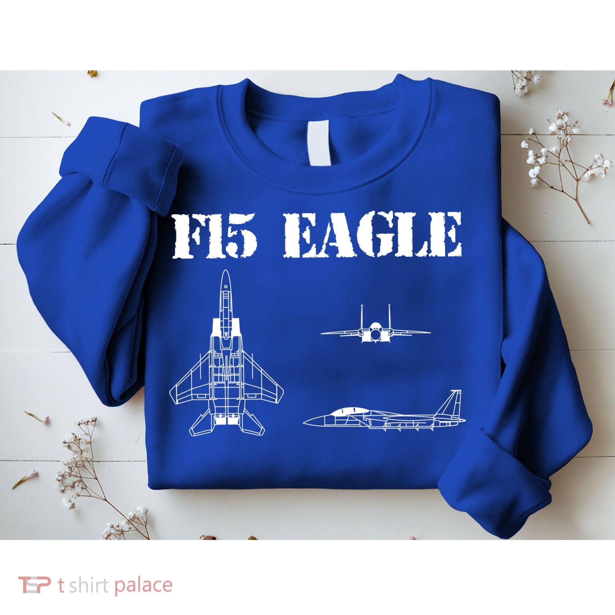 F15 Eagle Airplane Pilot Sweatshirt
