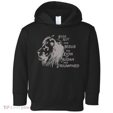 Fear Not For Jesus The Lion Of Judah Has Triumphed Toddler Hoodie