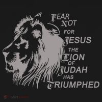 Fear Not For Jesus The Lion Of Judah Has Triumphed Toddler Hoodie thumb 2