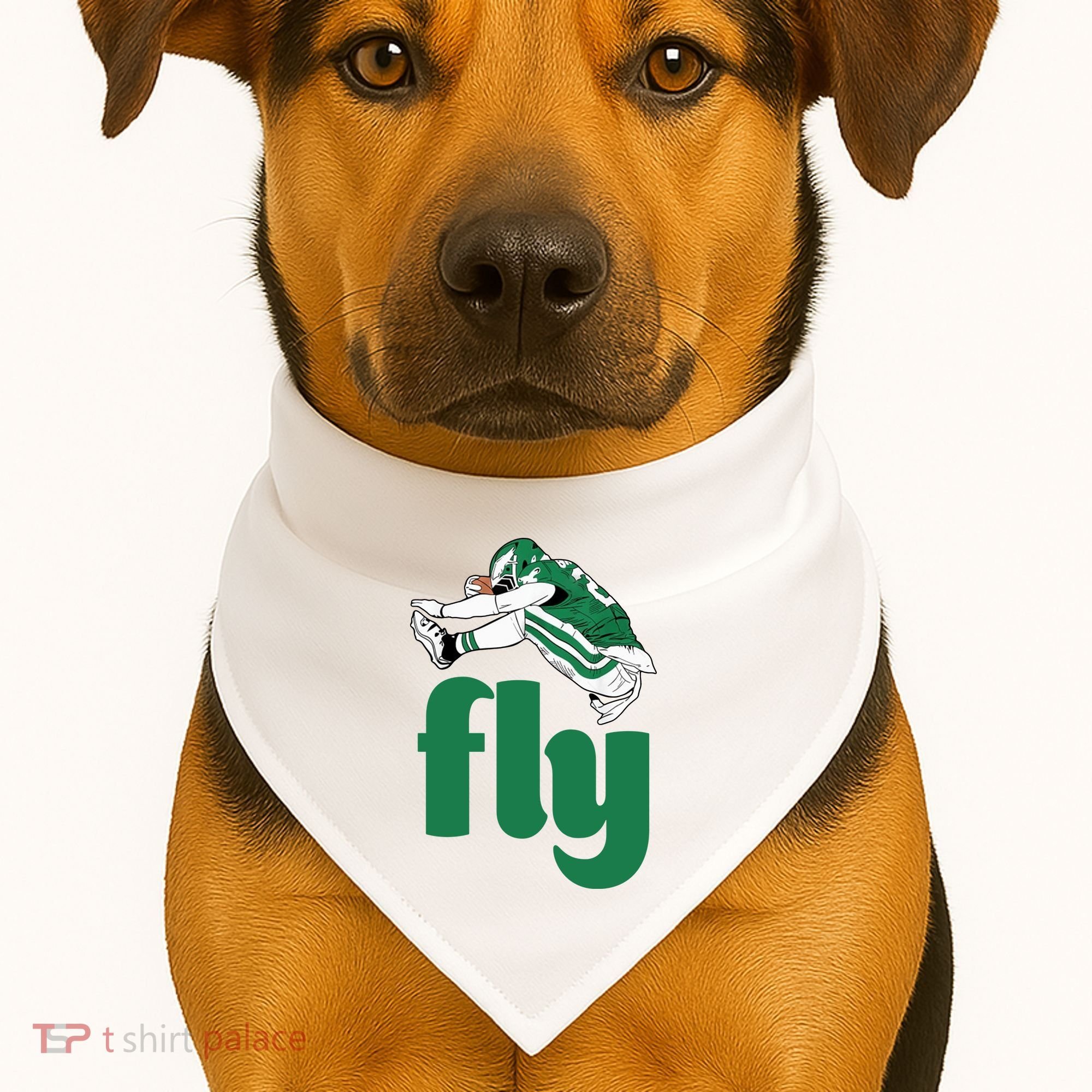 Fly Eagle Birds Football Fan USA-Made Doggie Bandana