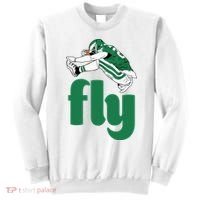 Fly Eagle Birds Football Fan Sweatshirt thumb 0