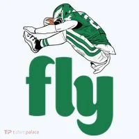 Fly Eagle Birds Football Fan Toddler T-Shirt thumb 4
