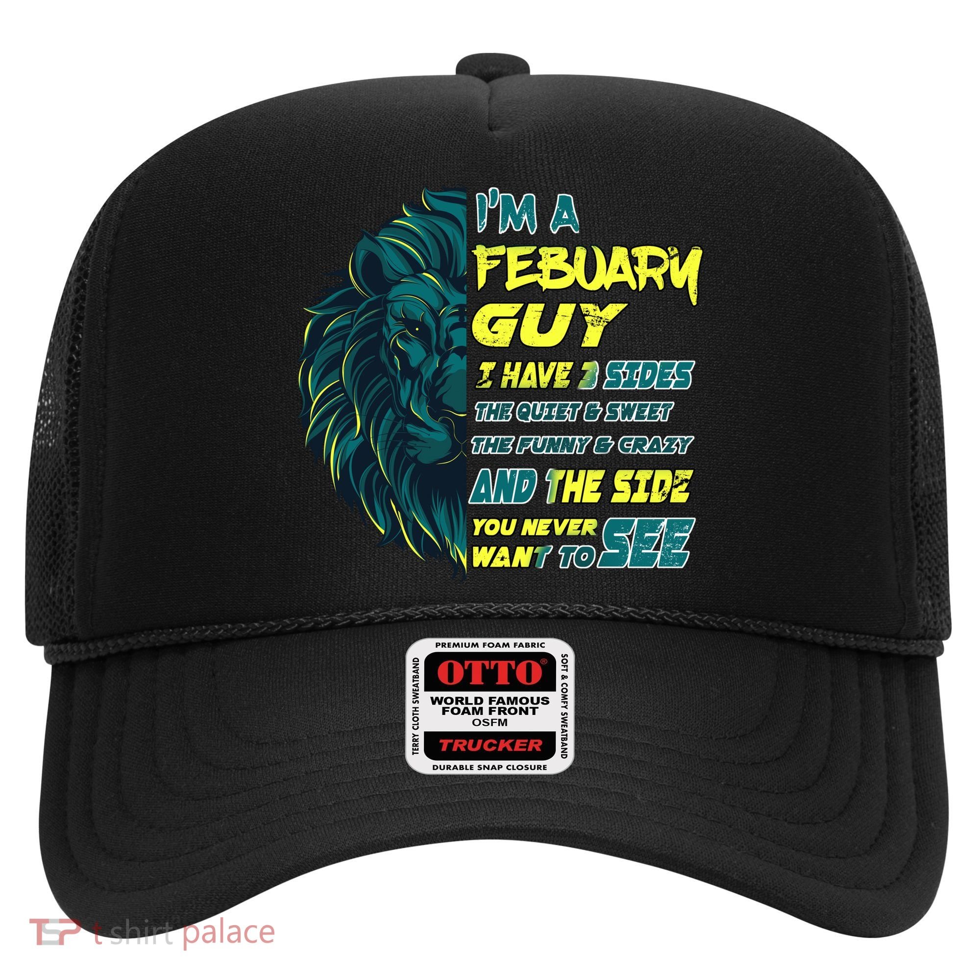 February Birthday Guy Has 3 Sides Sweet Funny Crazy  Hat