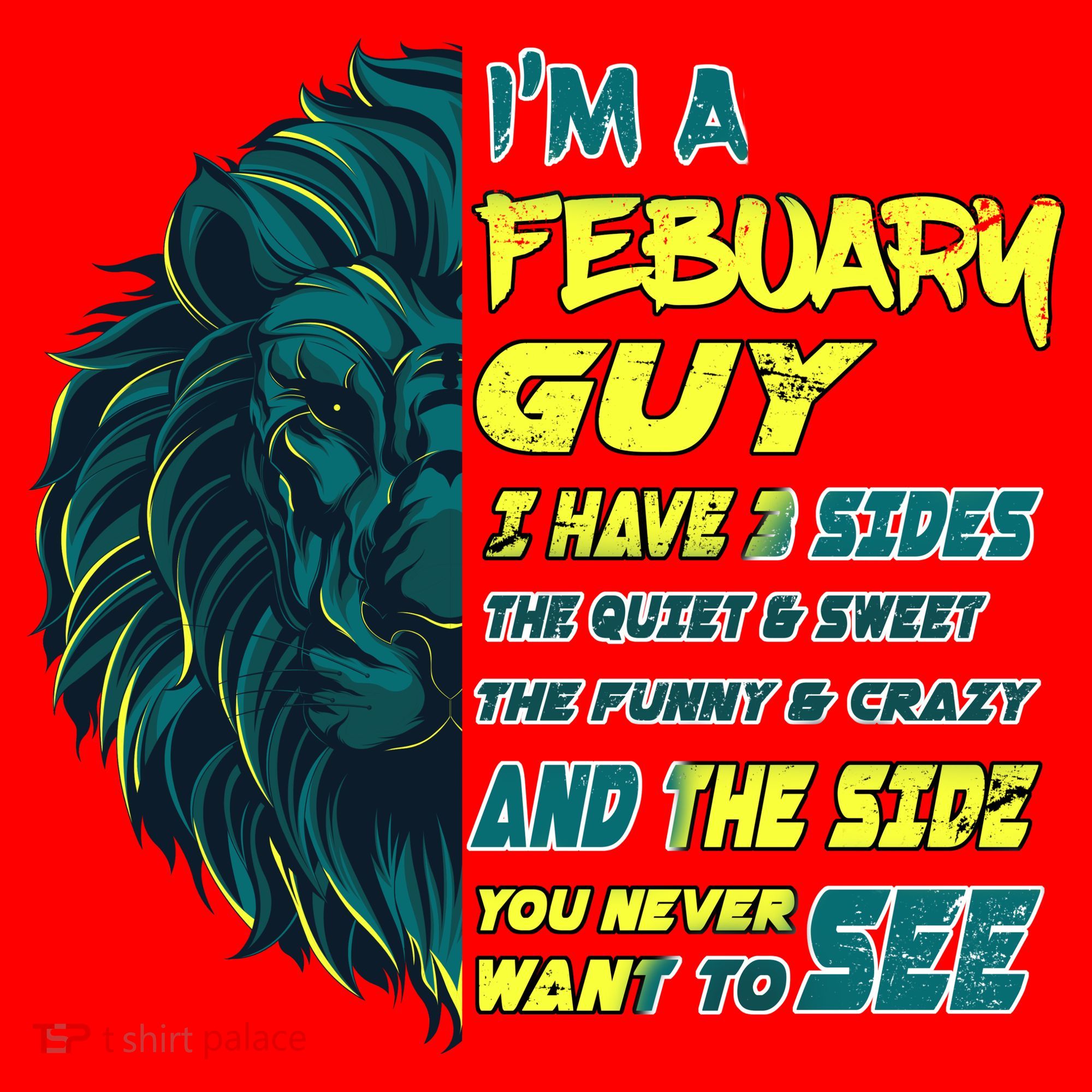 February Birthday Guy Has 3 Sides Sweet Funny Crazy  Santa Hat