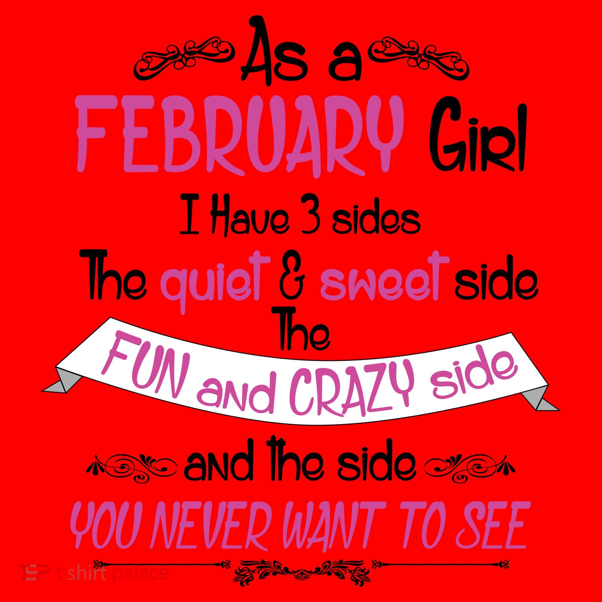 February Girl Sweet But Crazy Funny Birthday Santa Hat