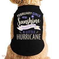February Girls Are Sunshine Mixed With Hurricane Doggie Tank thumb 0