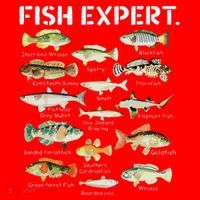 Fish Expert Cute Fish Child Fishing Santa Hat thumb 1