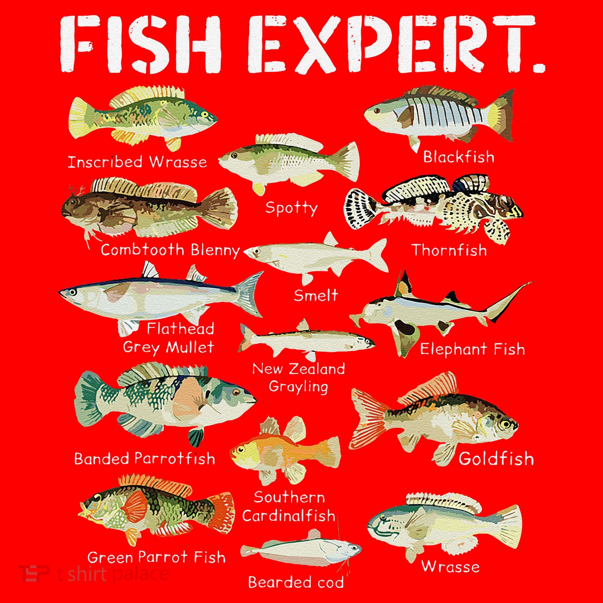 Fish Expert Cute Fish Child Fishing Santa Hat