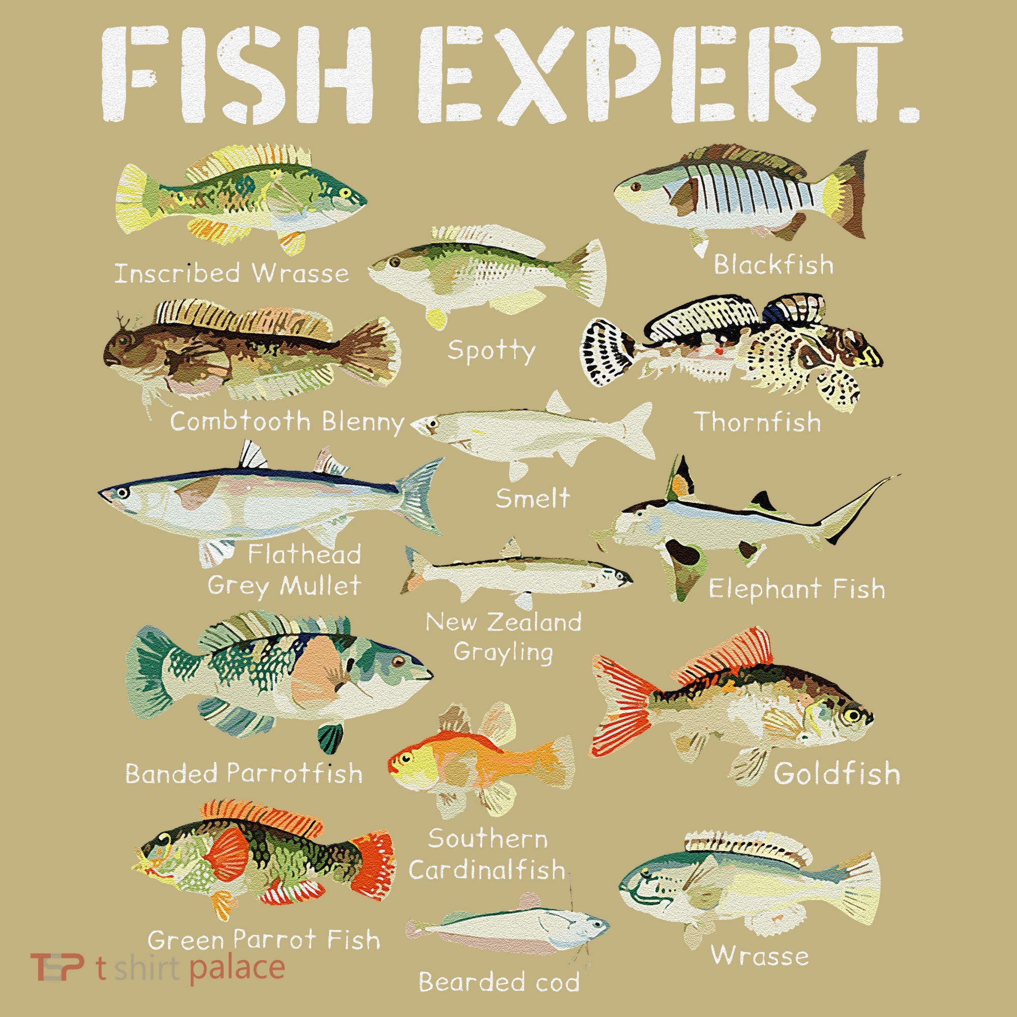 Fish Expert Cute Fish Child Fishing T-Shirt