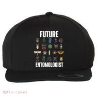 Future Entomologist Entomology Insect Lover Bug Collector Wool Snapback Cap thumb 0