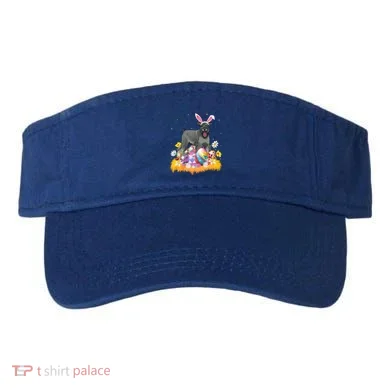 Visor