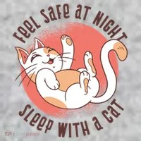 Feel Safe At Night Sleep With A Cat Toddler T-Shirt thumb 2