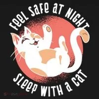 Feel Safe At Night Sleep With A Cat Women's T-Shirt thumb 6