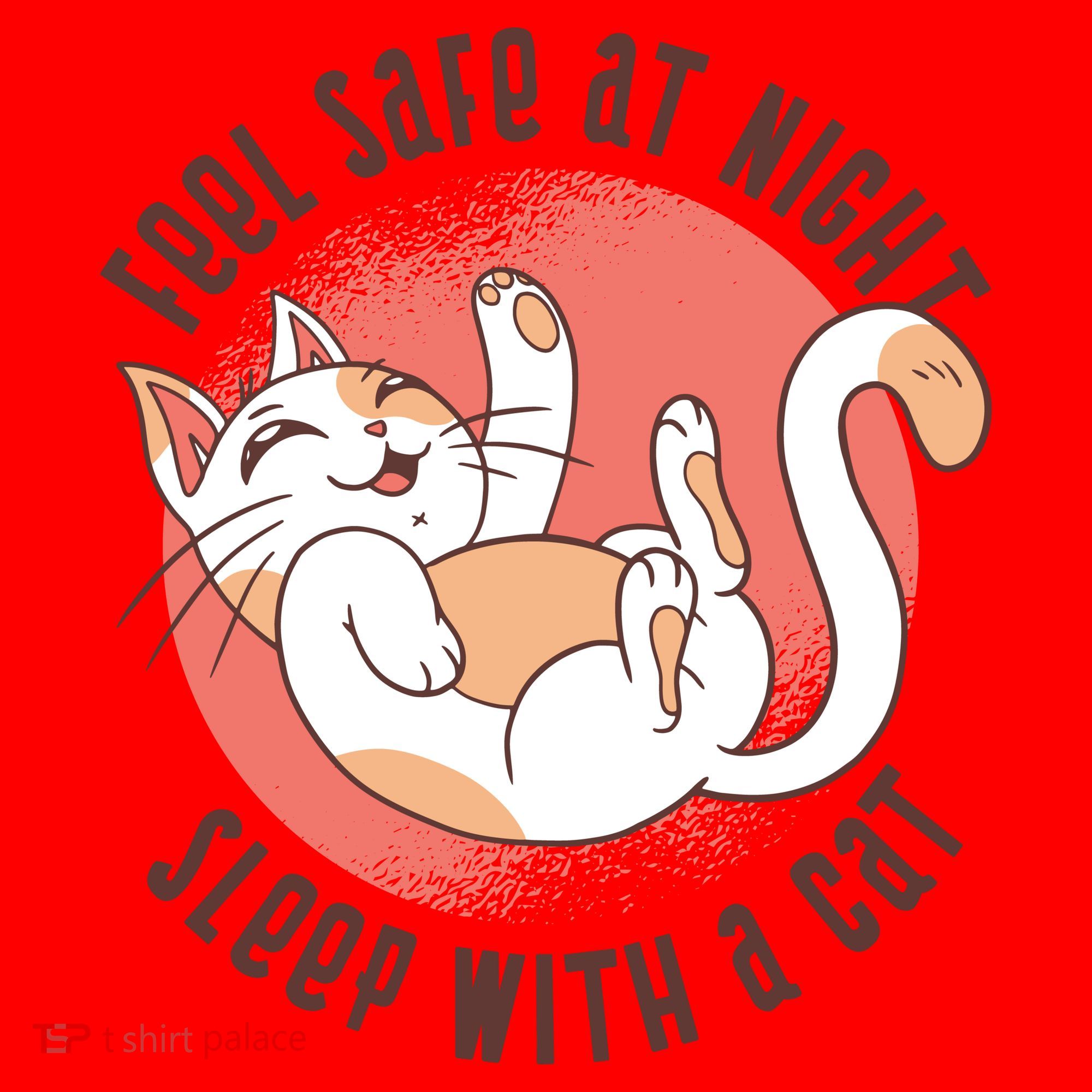 Feel Safe At Night Sleep With A Cat Santa Hat