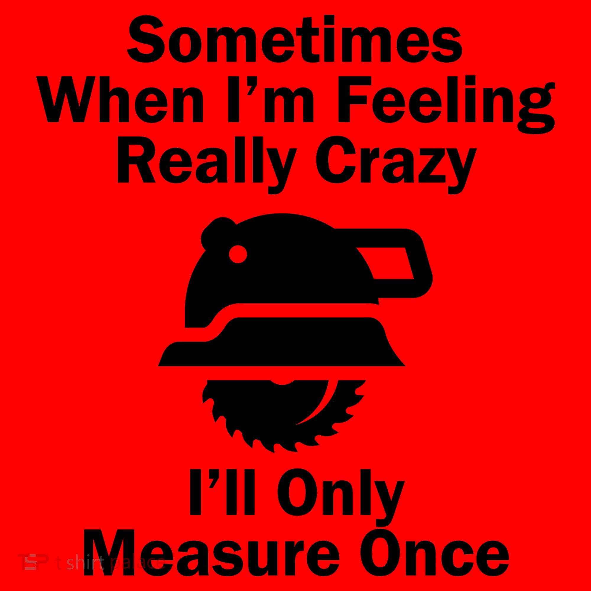Feeling Really Crazy I'll Only Measure Once  Santa Hat