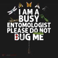 Funny Entomology Gift For Men Women Bug Lovers Ornament thumb 1